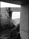 tadao ando 06