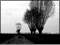 poebene 01