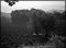 poebene 01